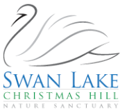 Swan Lake Christmas Hill Nature Sanctuary Society