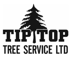 Tip Top Tree Service Ltd