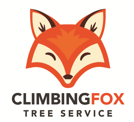 Climbing Fox Tree Service