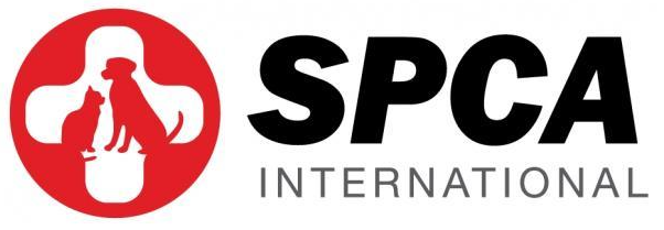 SPCA International