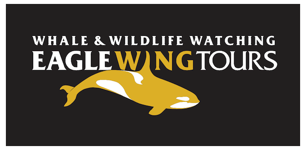 Eagle Wing Whale & Wildlife Watching Tours