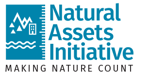 Natural Assets Initiative