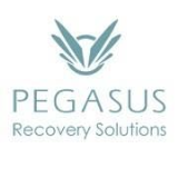 Pegasus Recovery Solutions